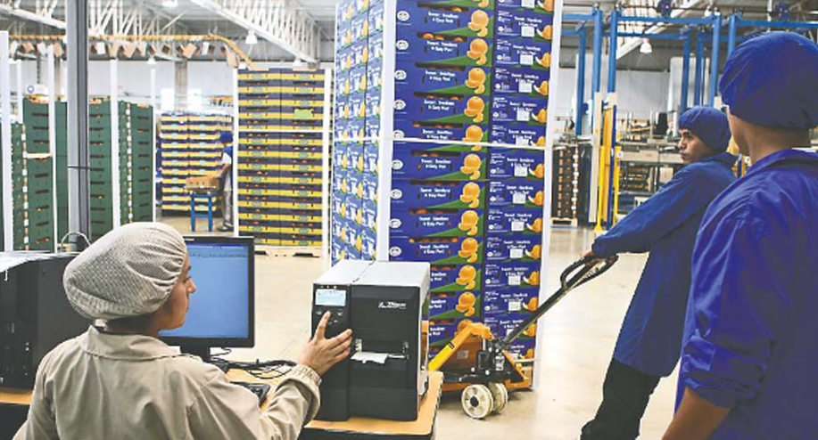 AGROEXPORTACIONES LOGRAN BUEN DESEMPEÑO HASTA MAYO-ESTUDIO CONTABLE CARUAJULCA 